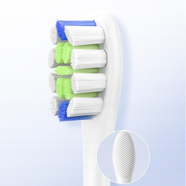 Oclean
