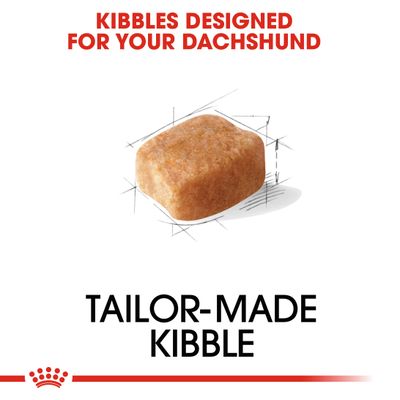 Royal Canin Dachshund Ενήλικο