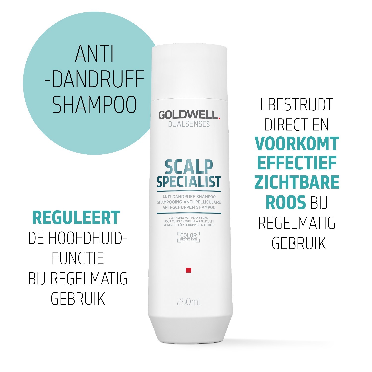 Goldwell Dualsenses SS šampon protiv struganja - 250 ml