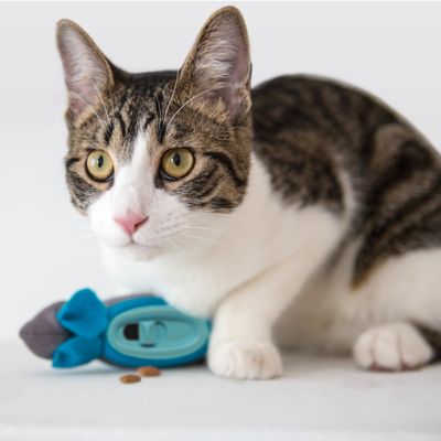 Smartpet Indoor-Jagdfutterautomaten