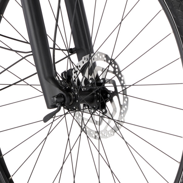 Bicicletă electrică de drumeție Viator 6.0i, Damen