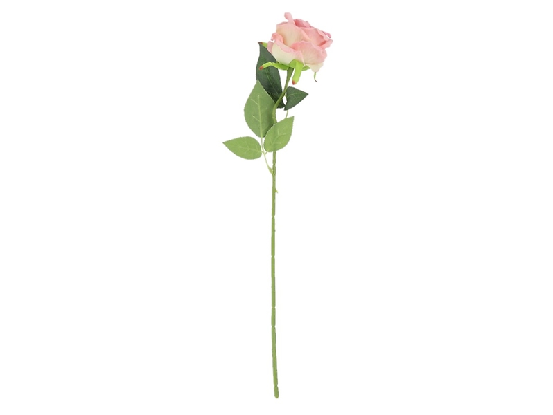 Róża pojedyncza 50 cm różowa