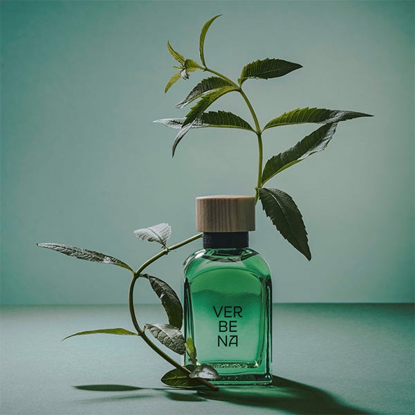 Verbena | 120 ml