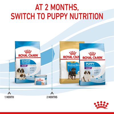 Royal Canin Giant Starter Madre y Cachorro