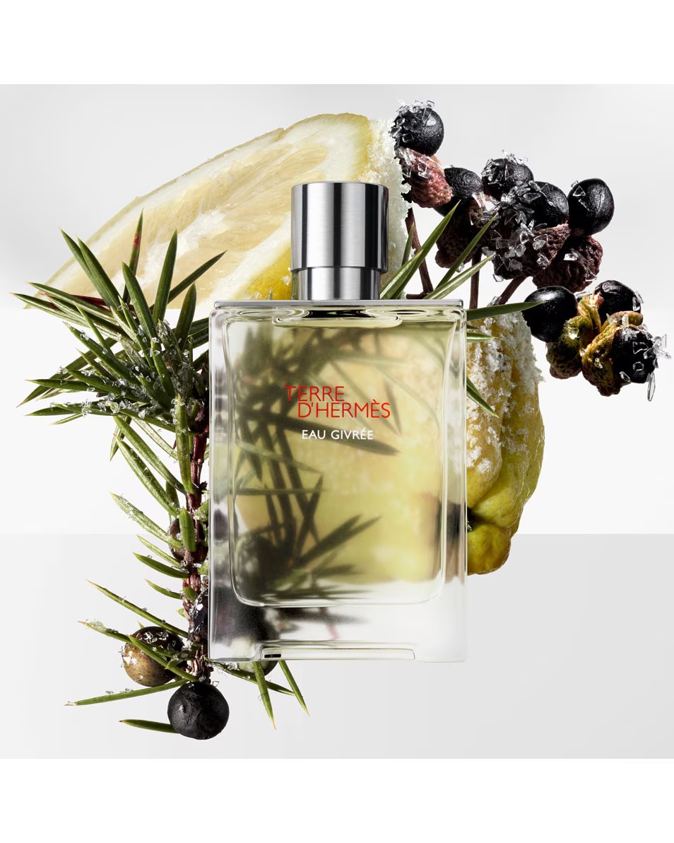 Rezervă HERMÈS Terre d'Hermès Eau Givrée Parfum