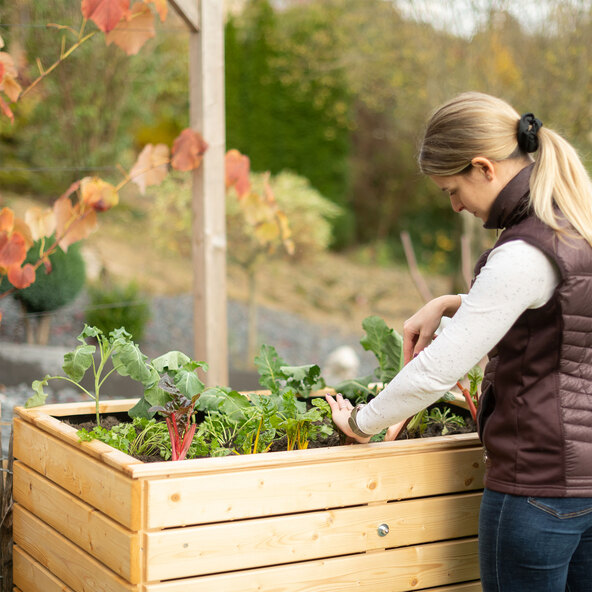 Verhoogd houten plantenbed Asket Natur, M 110 x 70 x 90 cm