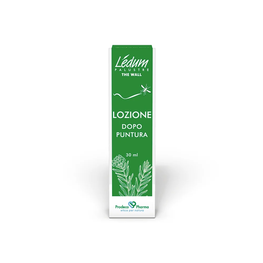 LEDUM Ledum Le Mur Loz Après Punt Vegan