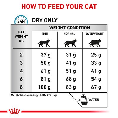 Royal Canin Veterinary Feline Hipoalergênico