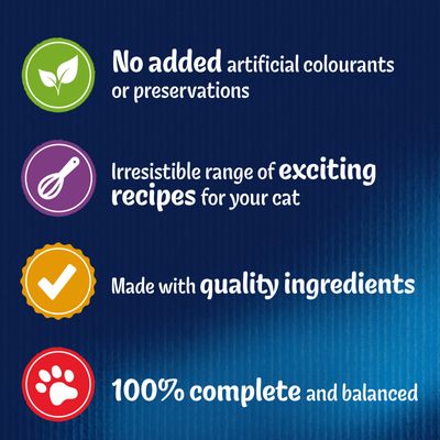 Felix Mega balení 88 x 100 g