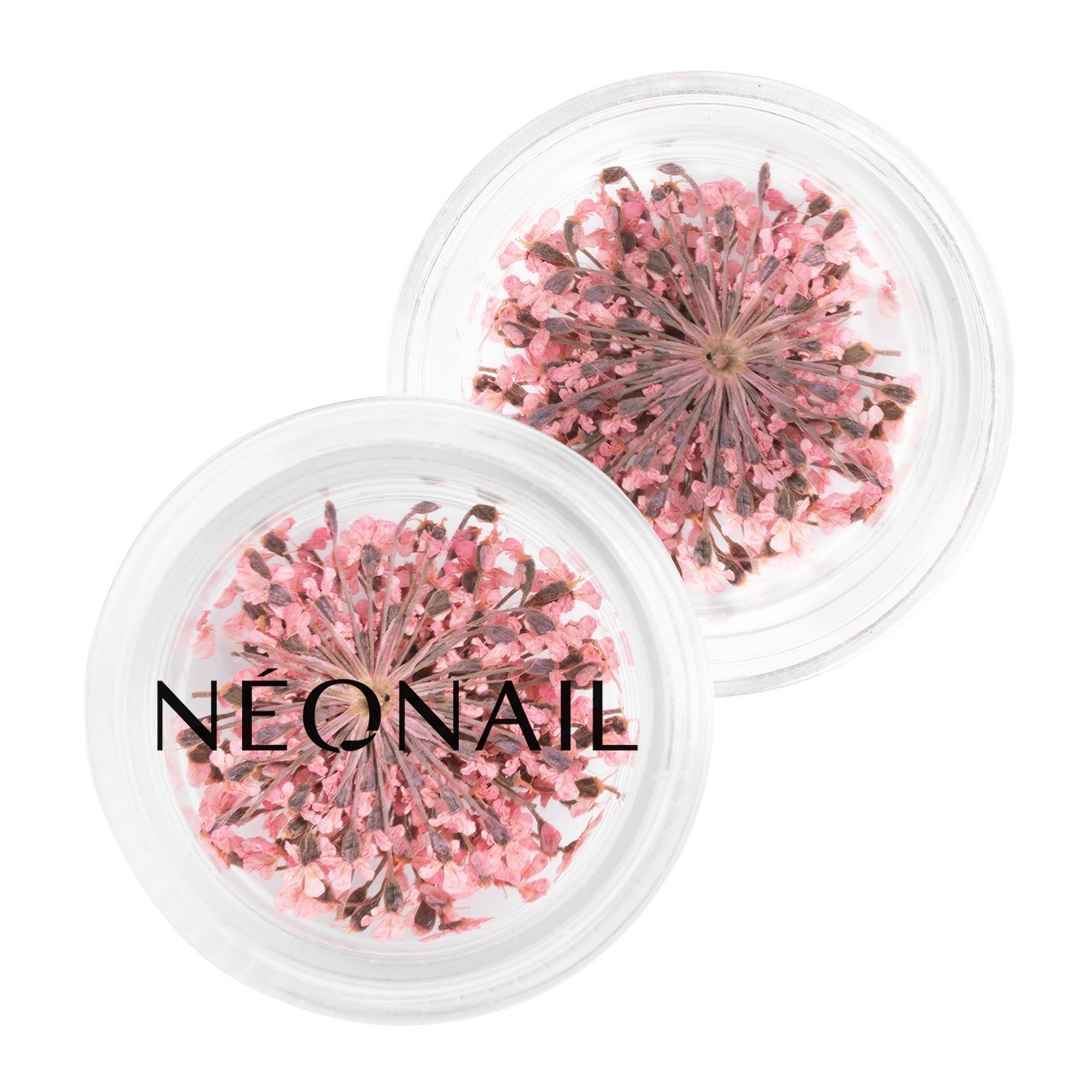 NEONAIL Dizajn noktiju Kolekcija Muse Within - 2 g