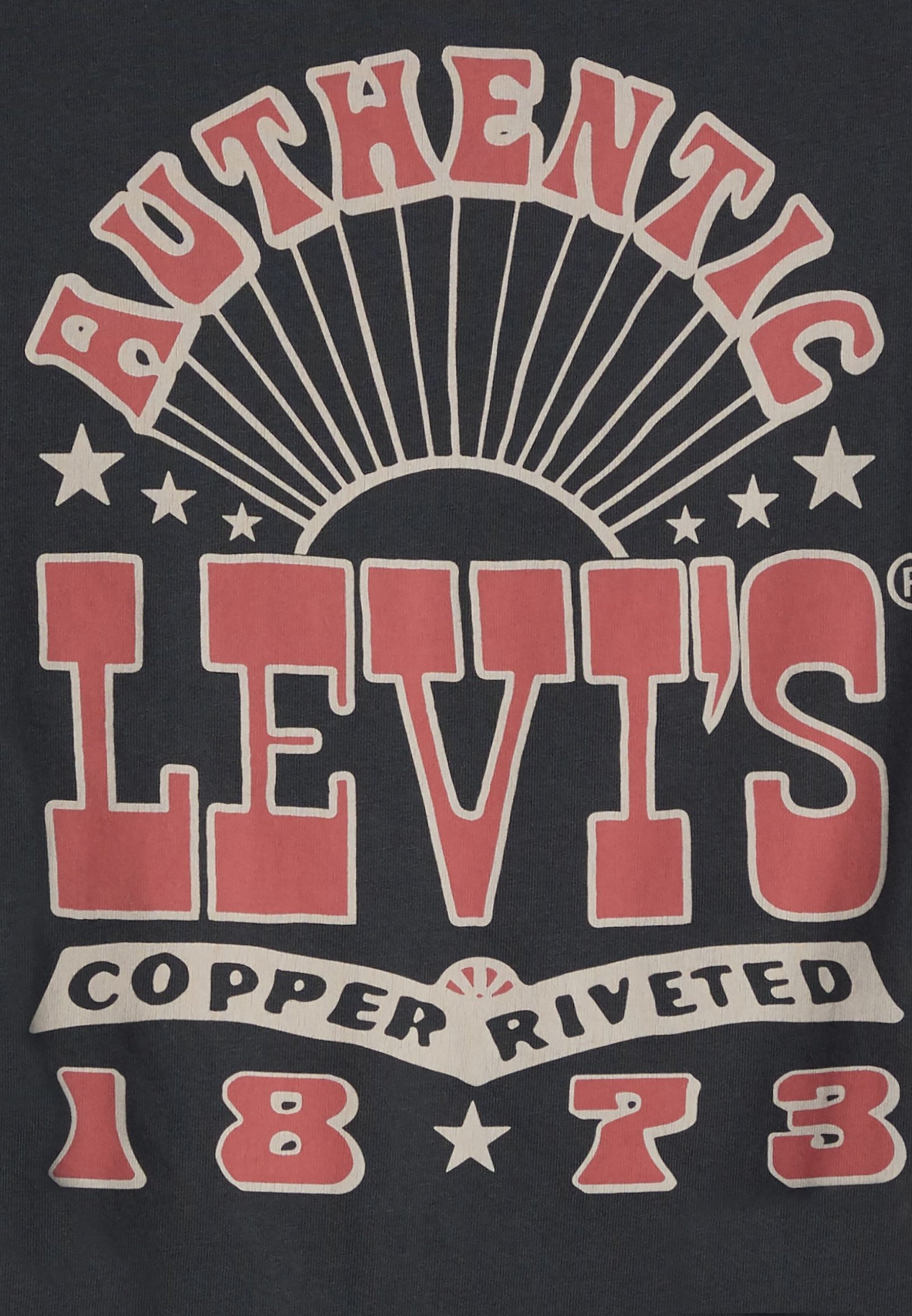 Levi's® RELAXED FIT T-Shirt – Bedrucktes T-Shirt – Piratenschwarz