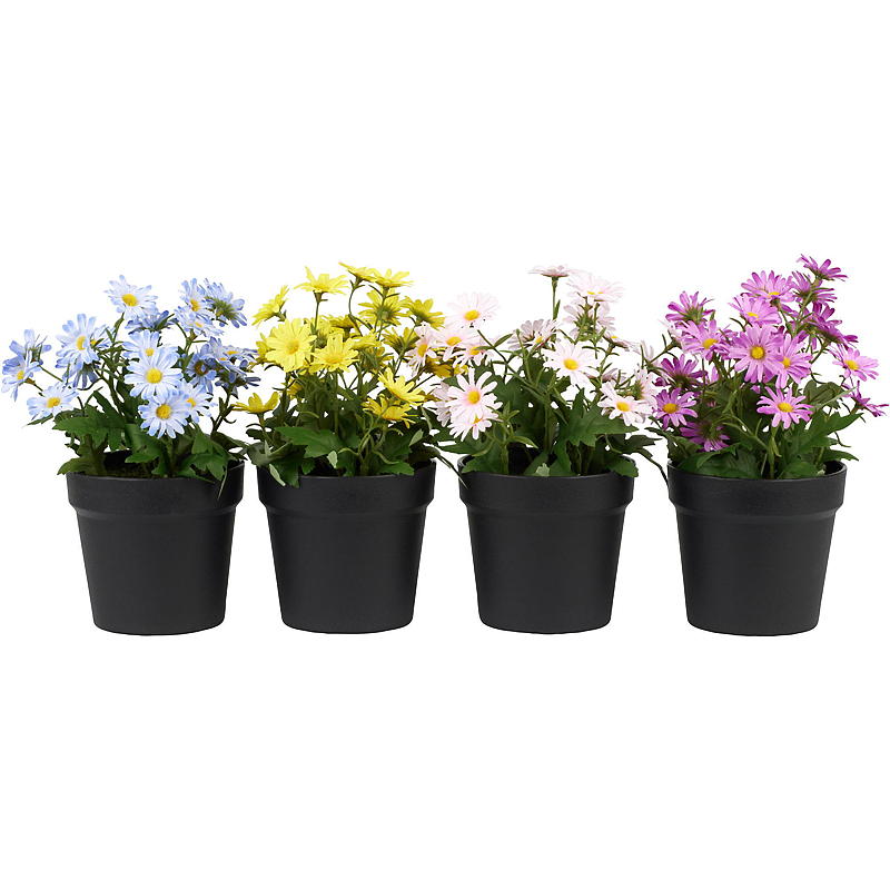 Hjem Daisy 27 cm