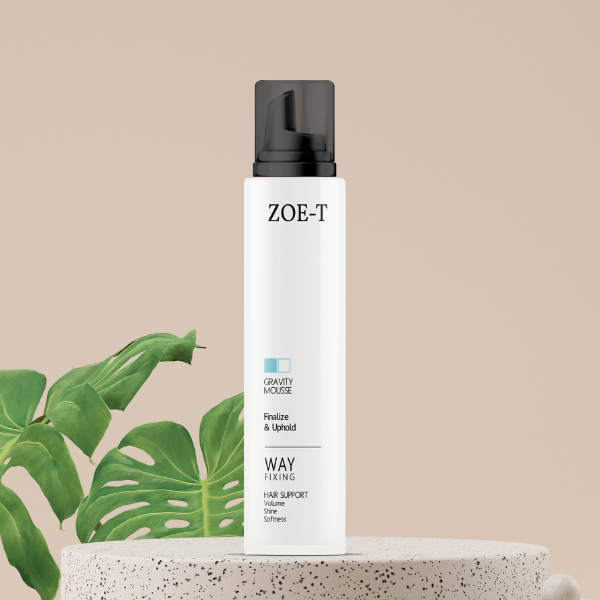 ZOE-T Way Fixing Gravity Mousse