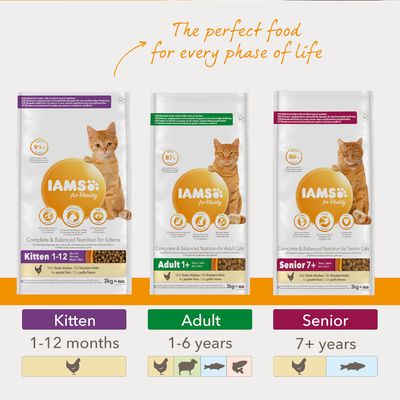 Croquettes pour chatons IAMS for Vitality au poulet frais