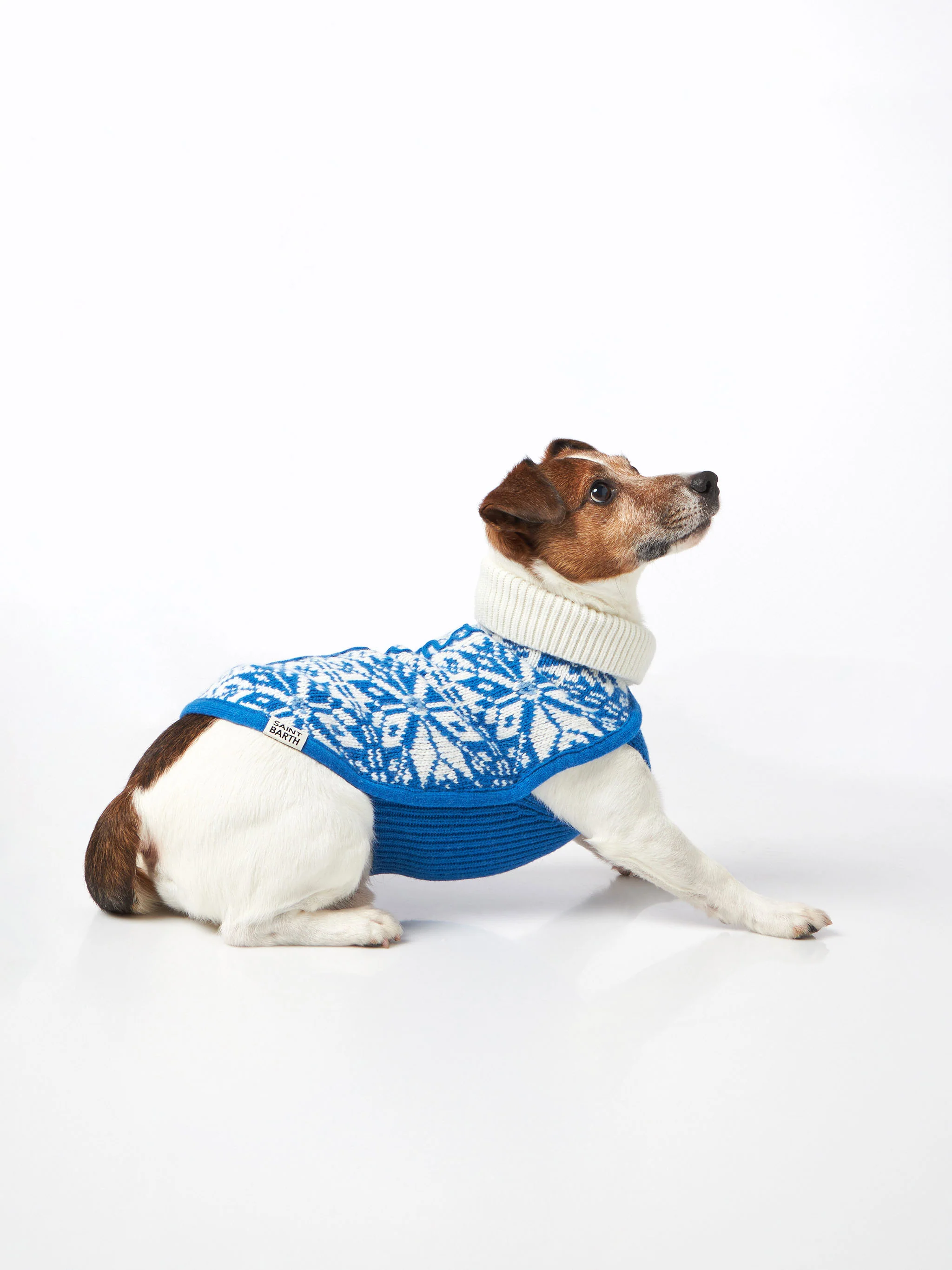 Trui voor honden met Scandinavische print