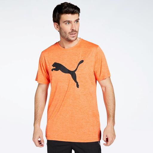 Puma Train