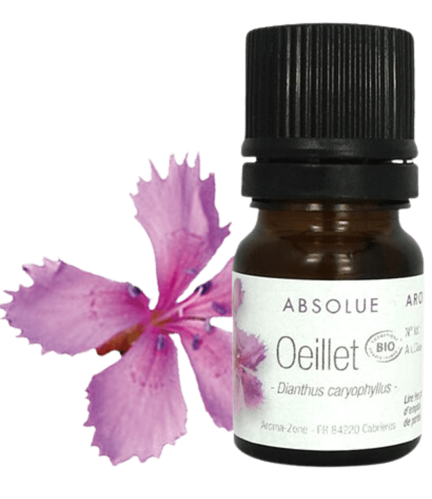 Absolue d'Oeillet BIO