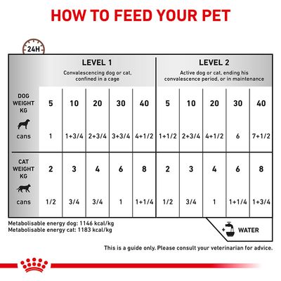 Royal Canin Veterinary Dog & Cat – Recovery Mousse