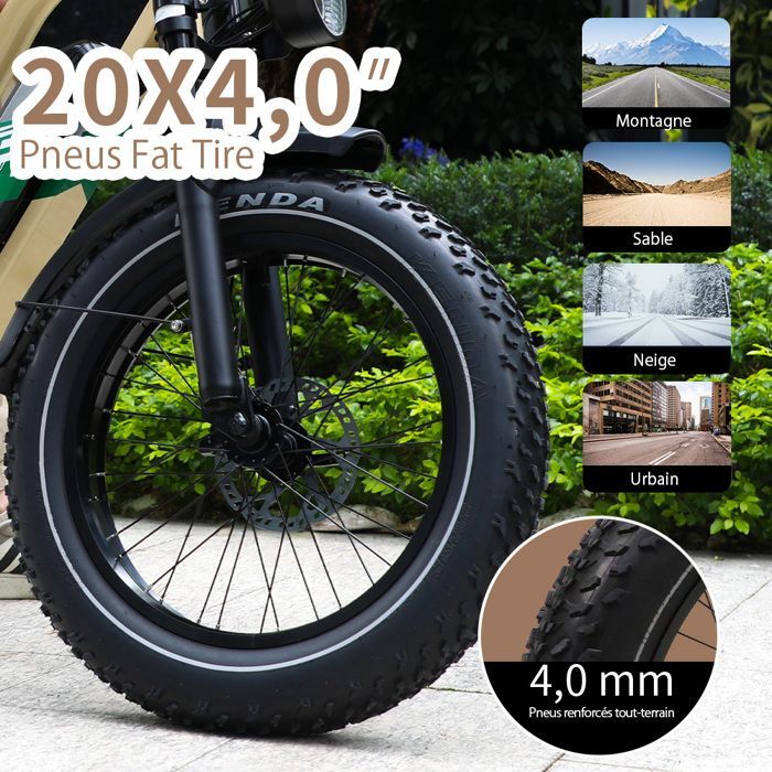 Maxtron W66 -Vélo Électrique VTT 20