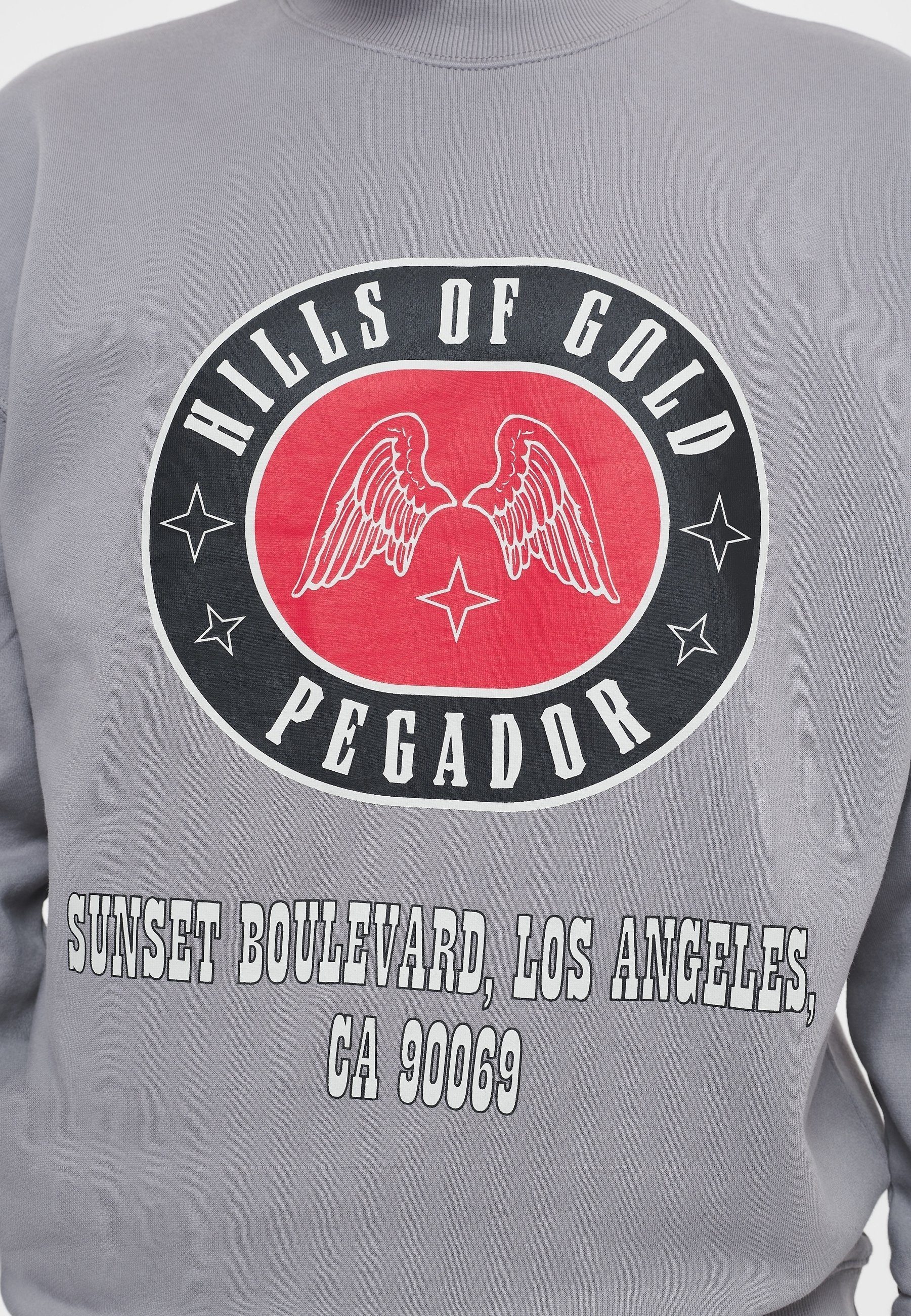 Felpa Pegador - grigia