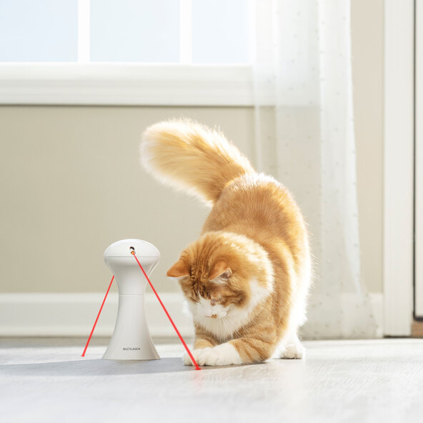 Automatisches Katzenspielzeug Multi-Laser
