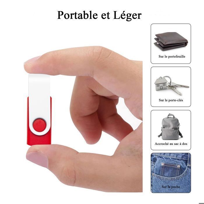 Clés USB 8 Go, Lot de 10, Version 2.0  USB C REWBOAT Mémoire Externe, Boîtier en Plastique + Crochet Rotatif en Métal
