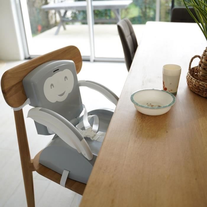 Seggiolino rialzato 2 in 1 THERMOBABY, grigio affascinante