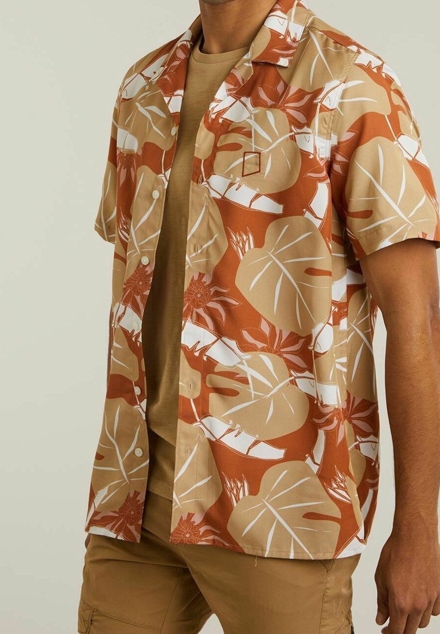 Chasin' shirt - bruin
