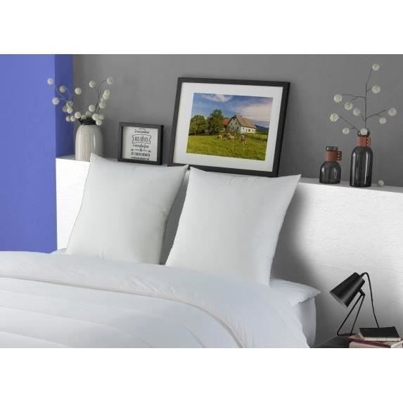 DODO Juego de 2 almohadas de plumas MERIBEL 60x60cm