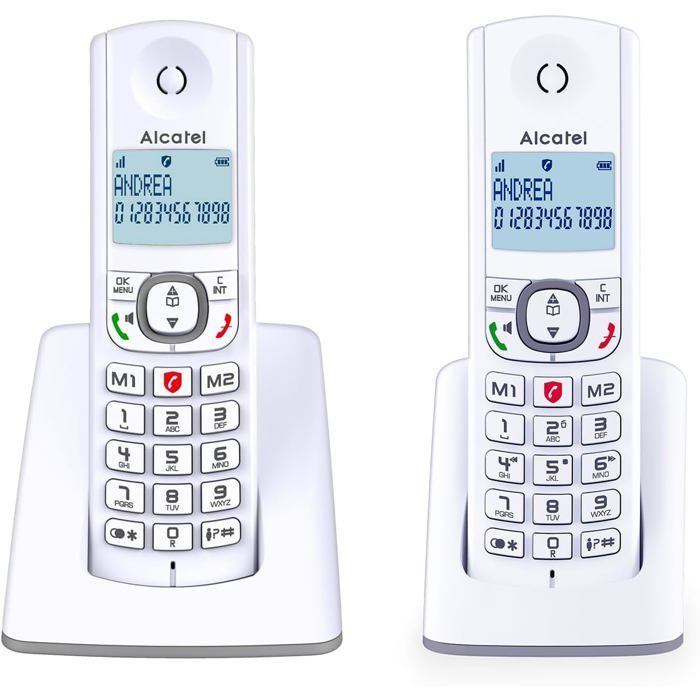 FLEUVE-Telephone Fixe-F530 Duo-Téléphone DECT-Grand Écran Rétroéclairé-Mains Libres-Blocage Appels-2 Mémoires-Blanc/Gris