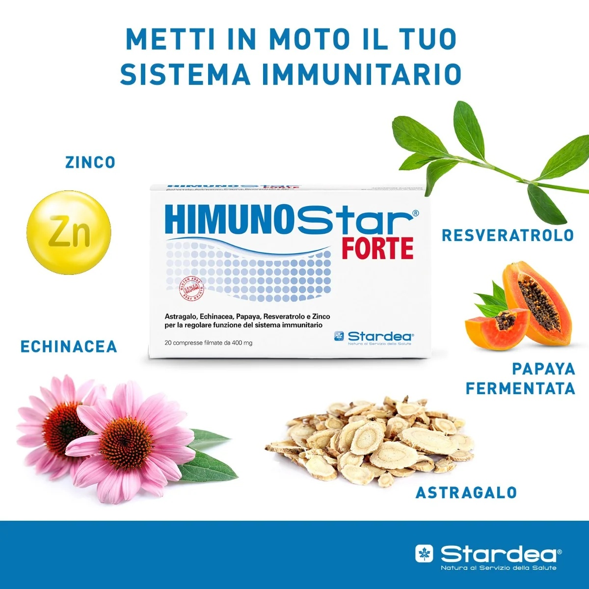 STARDEA Himunostar Forte 20 tabletten Voedingssupplement ter ondersteuning van de immuunafweer