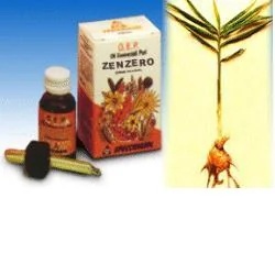 SPECCHIASOL Huile essentielle de gingembre pur Specchiasol OEP 10 ml