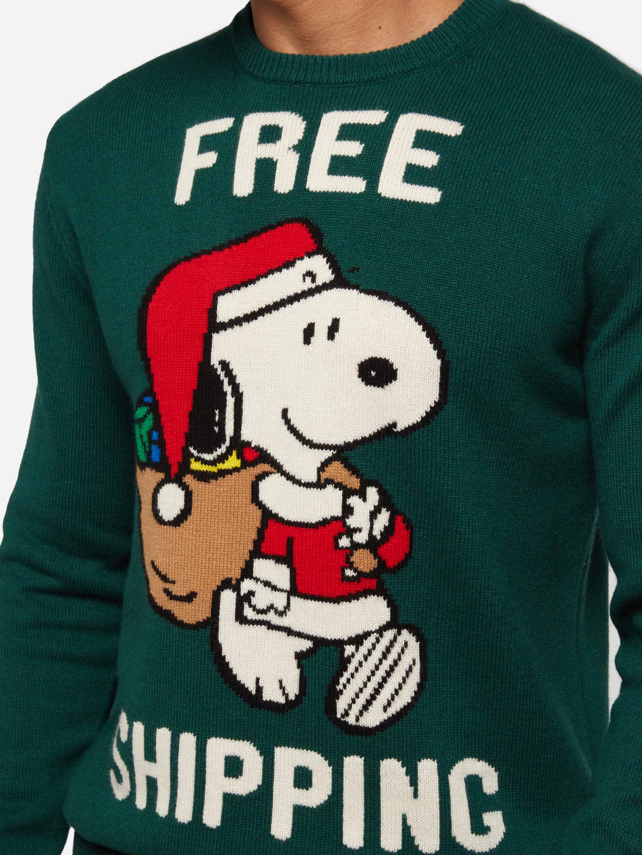 Maglione verde Heron con jacquard Snoopy | SNOOPY PEANUTS® SPECIAL EDI