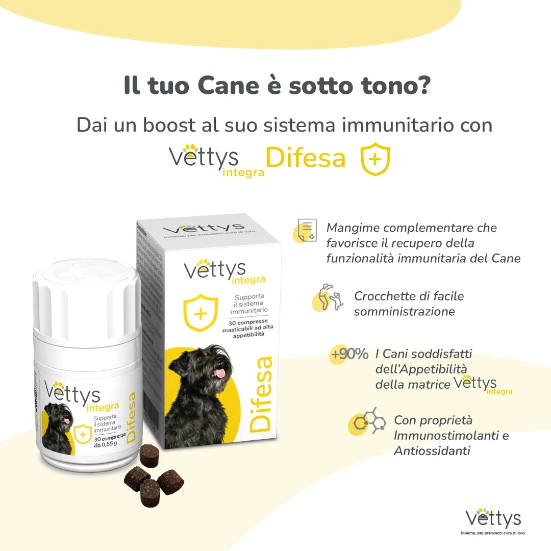 Vettys Integra Dog Defense 30 tabletten Immuunsysteem
