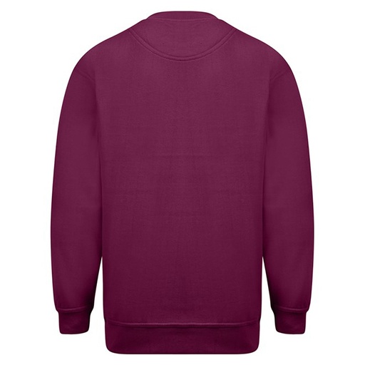 Sudadera Absolute Apparel Magnum