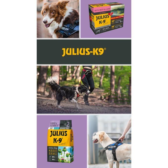 Julius K9 - Lamb & Herbals Puppy 3kg - Croquettes hypoallergéniques sans céréales à l'agneau - Pour chiots et jeunes chiens