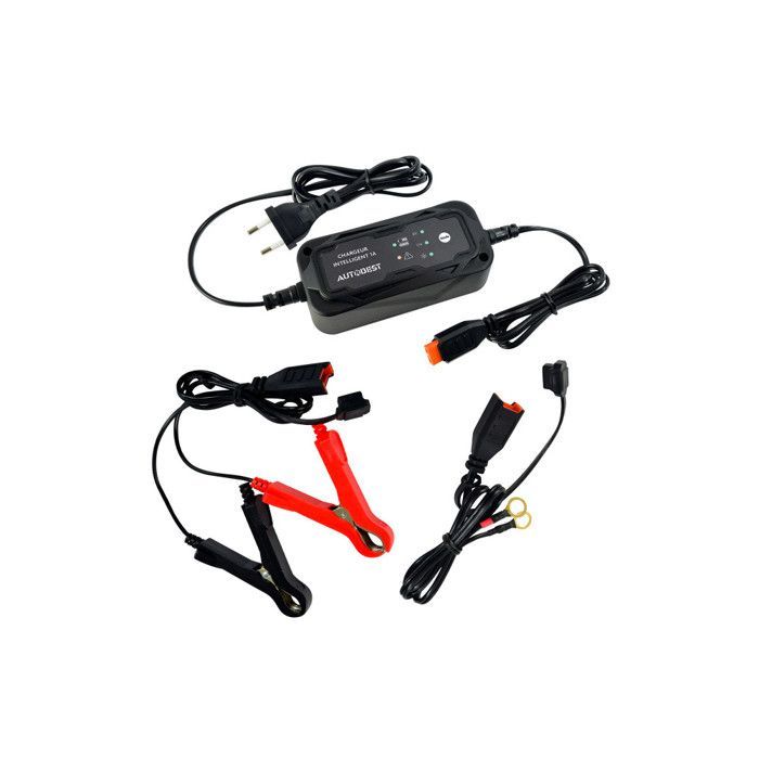 Cargador de batería para motocicleta - Carga de mantenimiento de 6V/12V