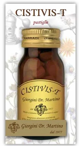 DR. GIORGINI Dr. Giorgini Cistivis-T urinewegsupplement 80 tabletten