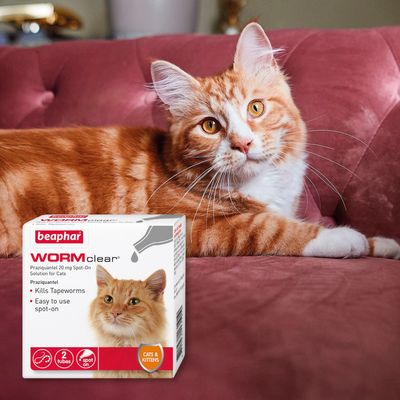beaphar WORMclear® Spot-On Solution για γάτες