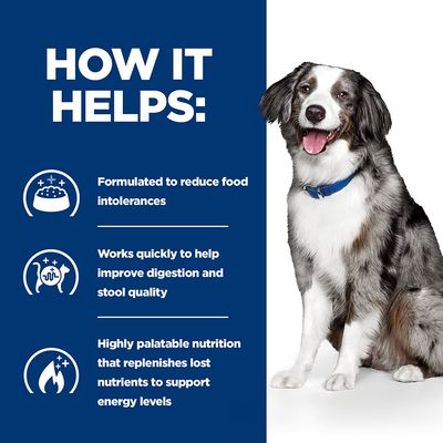 Hill's Prescription Diet Canine i/d Sensitive Digestive Care - Uova e Riso