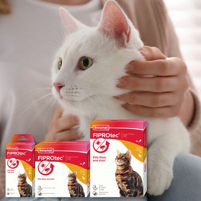 beaphar FIPROtec® Spot-On contro pulci e zecche per gatti