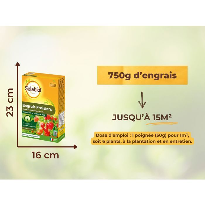 SOLABIOL Engrais fraisiers & petits fruits - 750g - Jusqu'à 15m² - Stimulateur de croissance - Nutrition longue durée