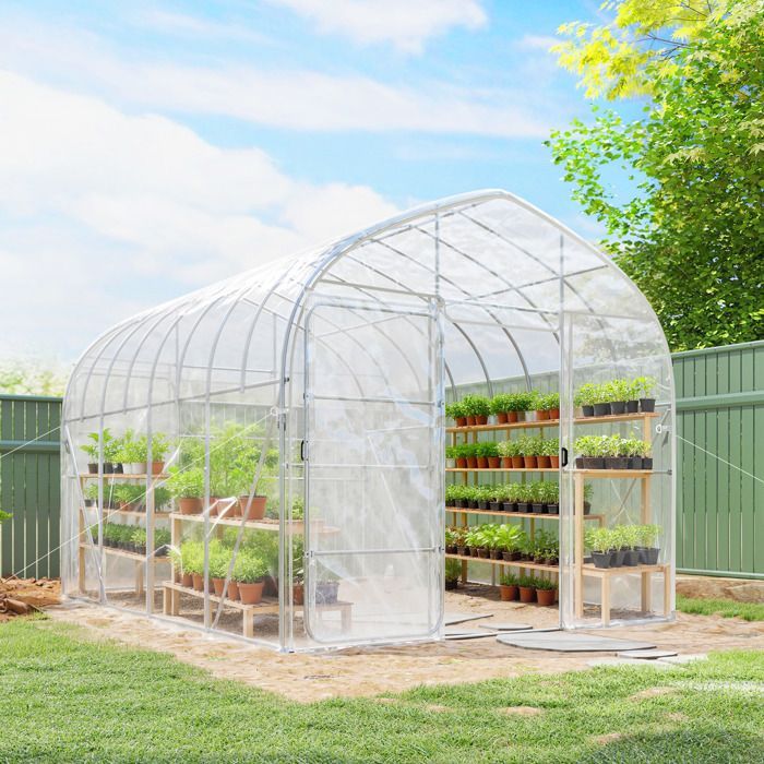 Invernadero tipo túnel Outsunny de 12 m² para cultivo de tomates - Acero galvanizado de 25 mm con película antigoteo - 296 x 391 x 267 cm - Transparente