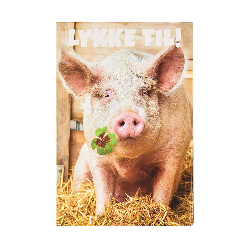 Tarjeta con cerdo