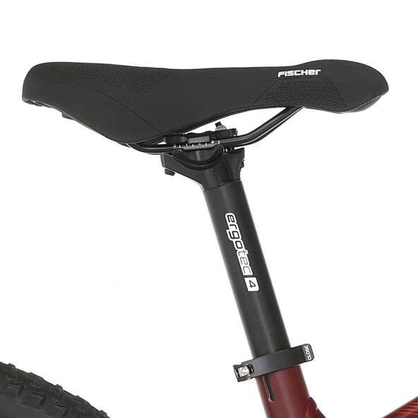 Ηλεκτρικό ποδήλατο βουνού MONTIS 7.0i, 46 cm