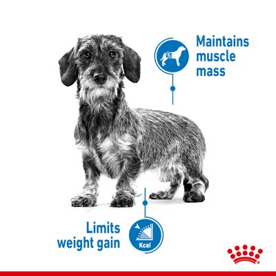 Royal Canin Light Weight Care -koiranruoka