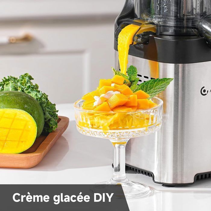 AMZCHEF Extracteur de Jus de Fruits et Légumes 113mm - Machine a Jus de Fruit Extracteur Entiers - Slow Juicer - Argent