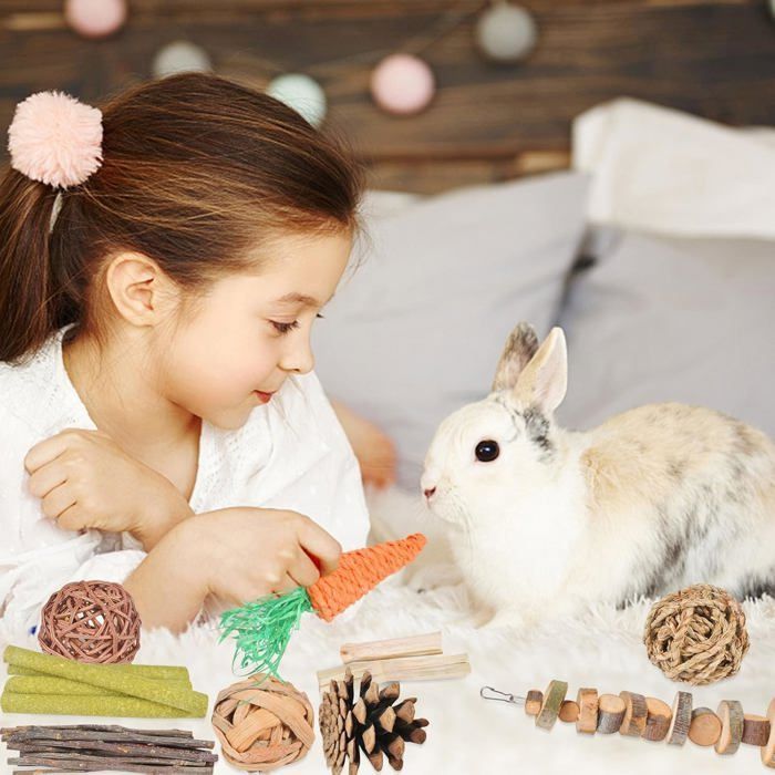 Jouets de mastication - PZCC - 16 pièces - Bois naturel - Pour petits rongeurs - Soins dentaires