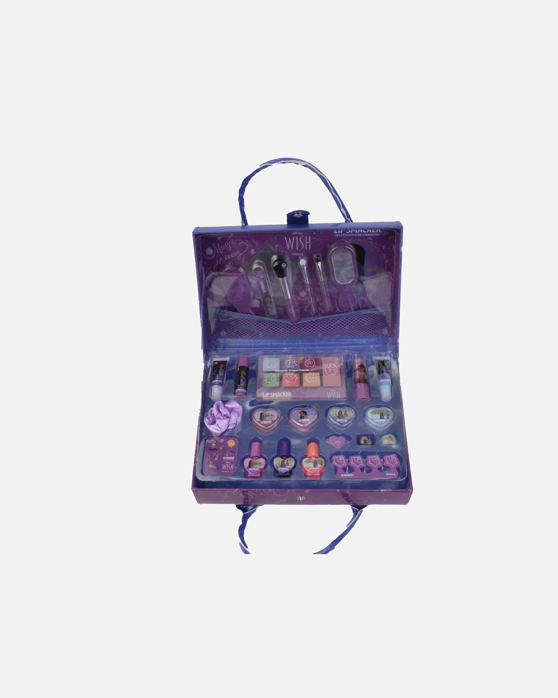 Disney Wish Weekender Case