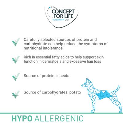 Concepto para la vida Dieta veterinaria Insecto hipoalergénico